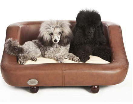 Sky Pet Products dog beds