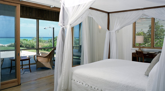 Parrot Cay