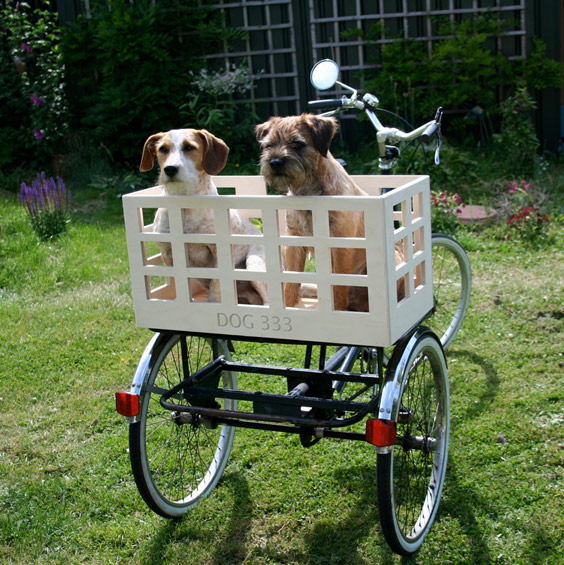 Taxi