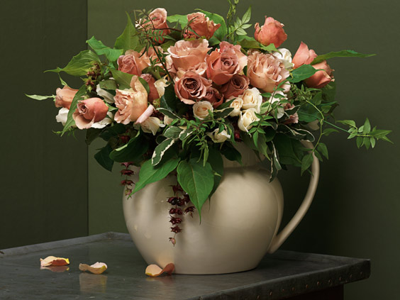Cafe Latte roses
