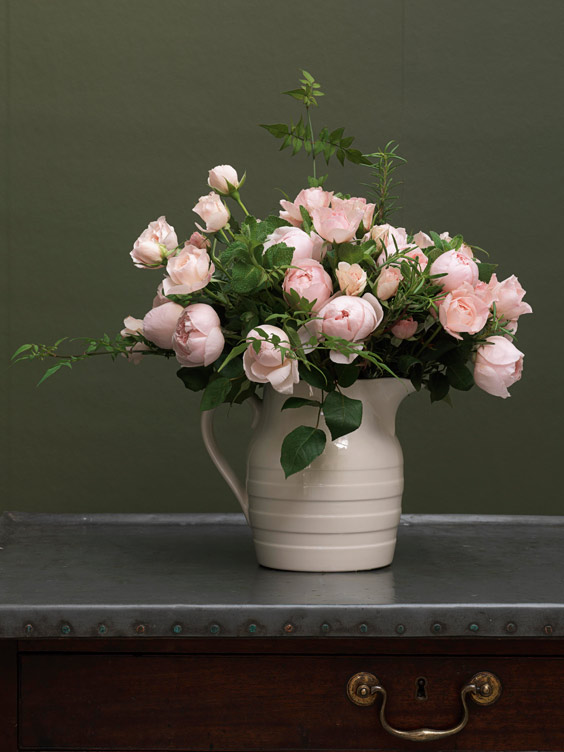 PEONYPINK The Real Flower Company