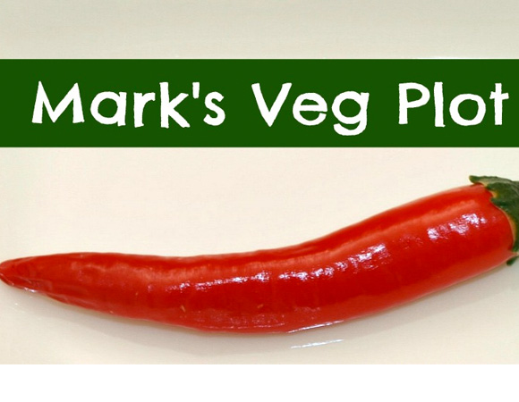 Marks-Veg-Plot