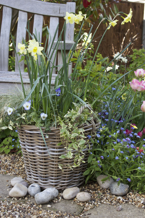 Spring basket_0705