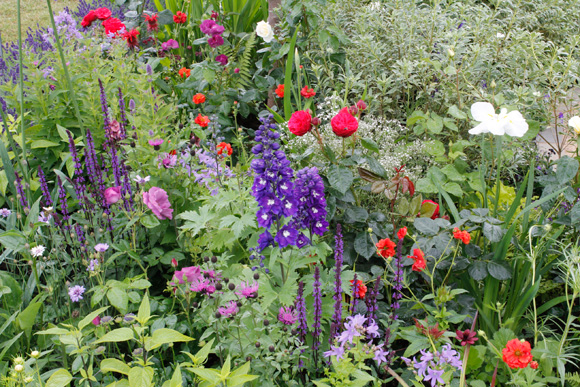 How-to-Plant