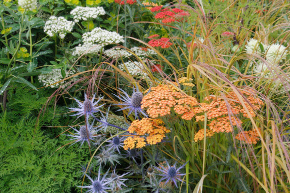 Plants
