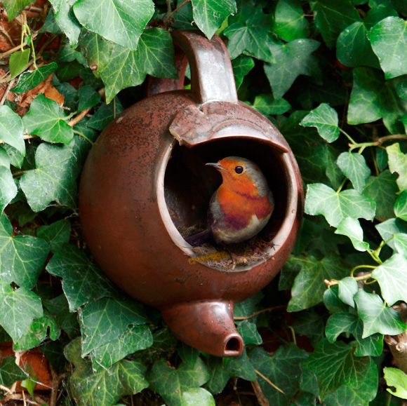 TeaPotandRobin