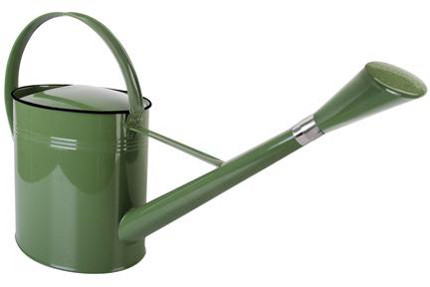 Watering Can courtyard Charms
