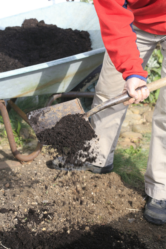 Soil-improvement