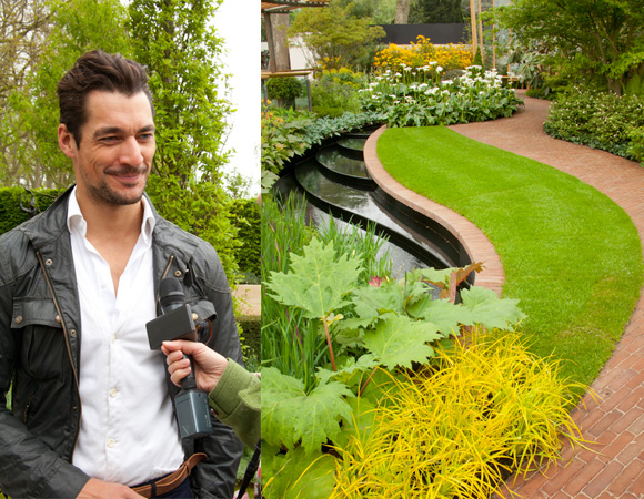 David-Gandy-at-Chelsea-Flower-Show-2013
