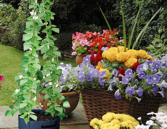 Garden-patio