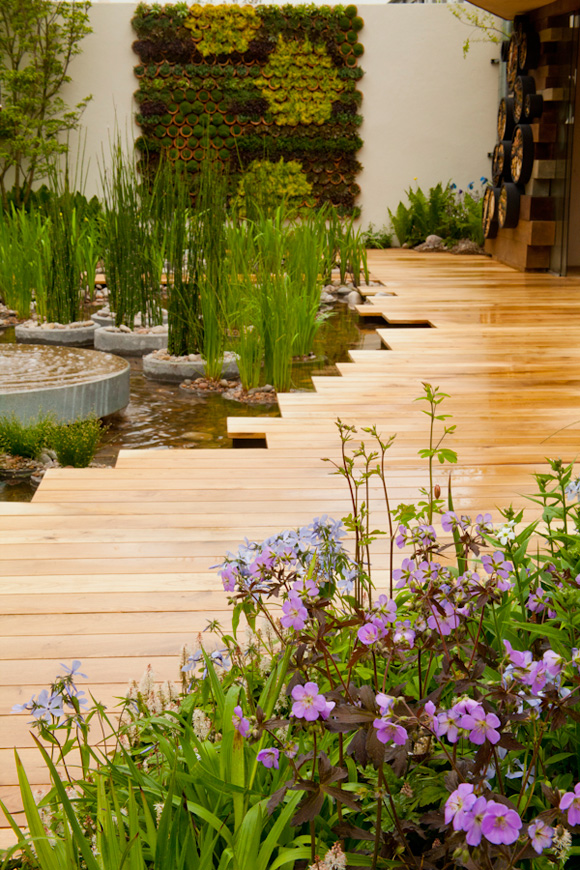 RHS-Chelsea-Flower-Show
