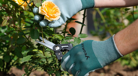Snippers-garden
