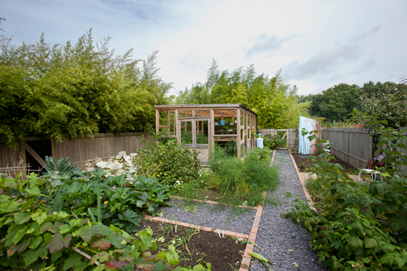 Vegetable-garden