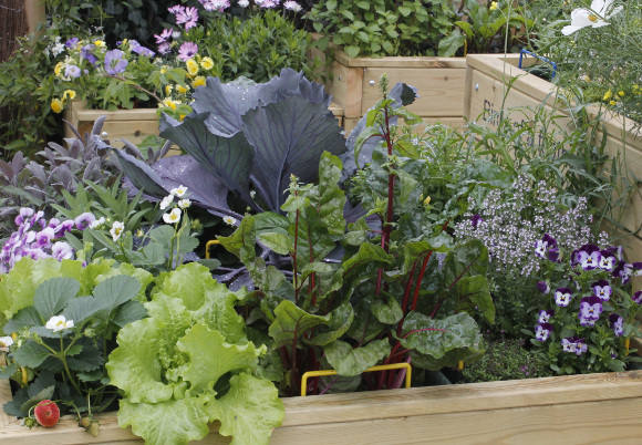 Main-garden-ideas-summer