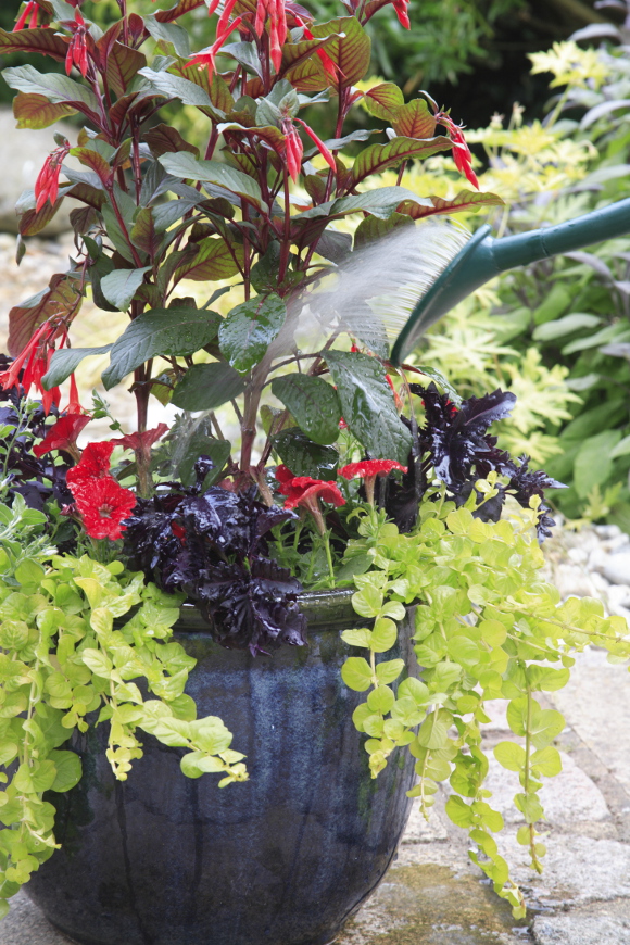 Summer-pot