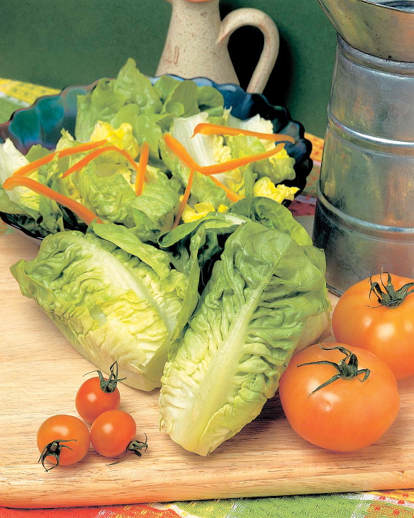 lettuce-little-gem-pearl