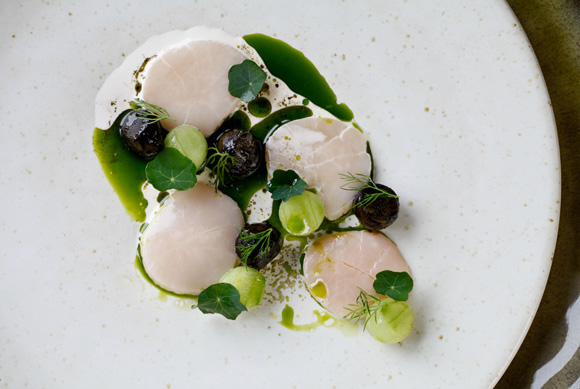 Scallops-cucumber-and-dill-ash-Restaurant-Story