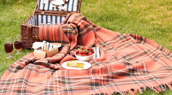 picnic-perfection