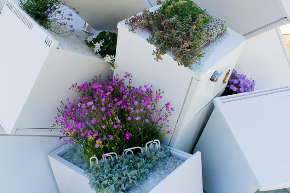 plant-fridges-hampton