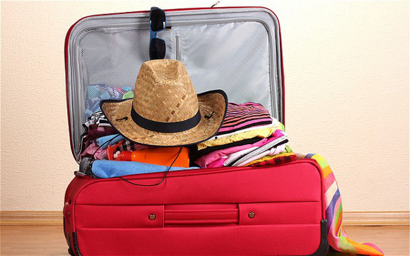 suitcase
